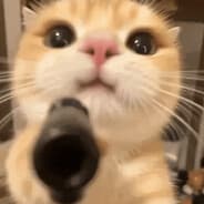 KittyBlades