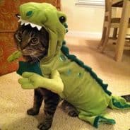 nOObasaurus!